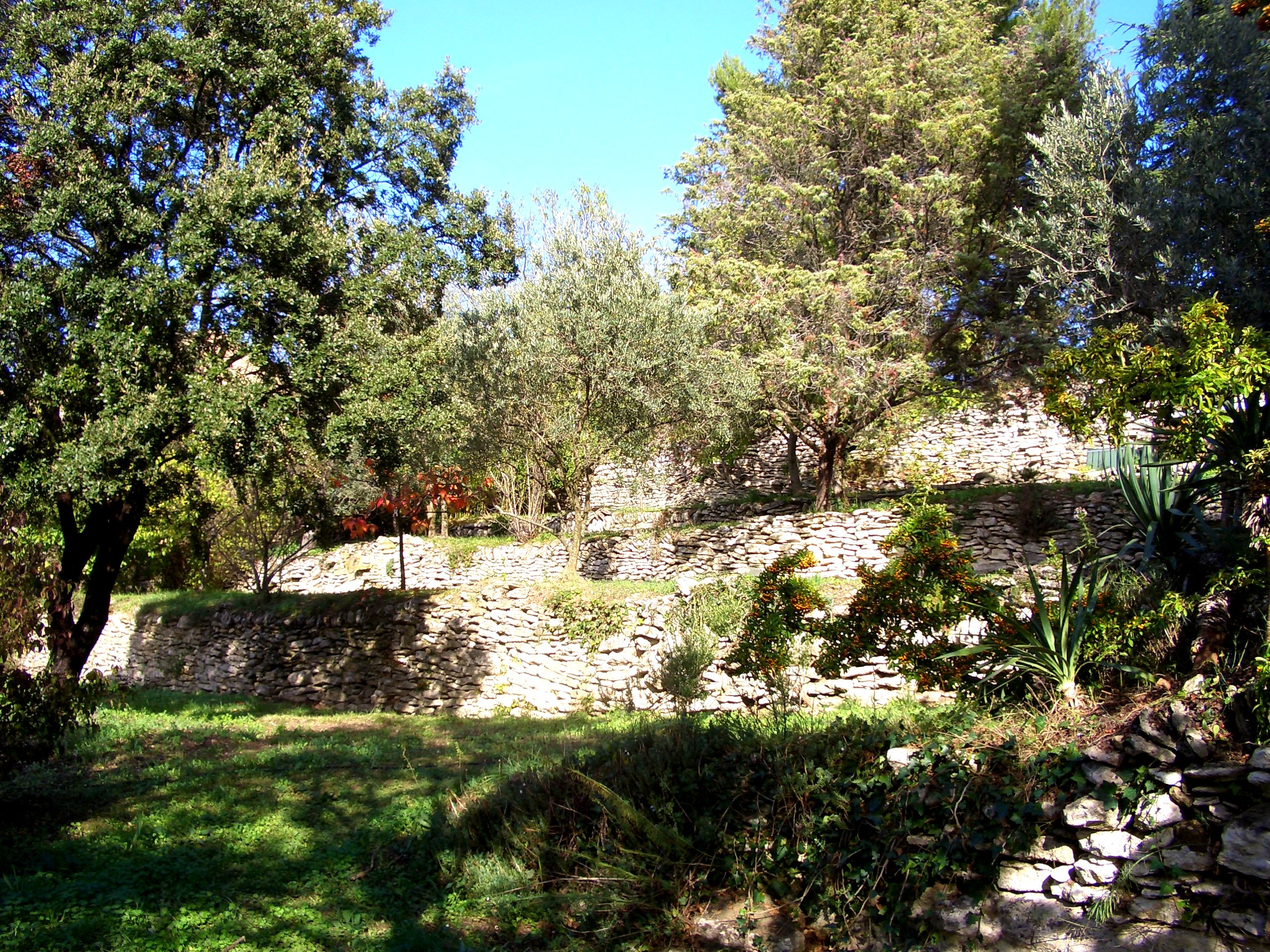 Weg durch den Garten zwischen mediterranen Pflanzen