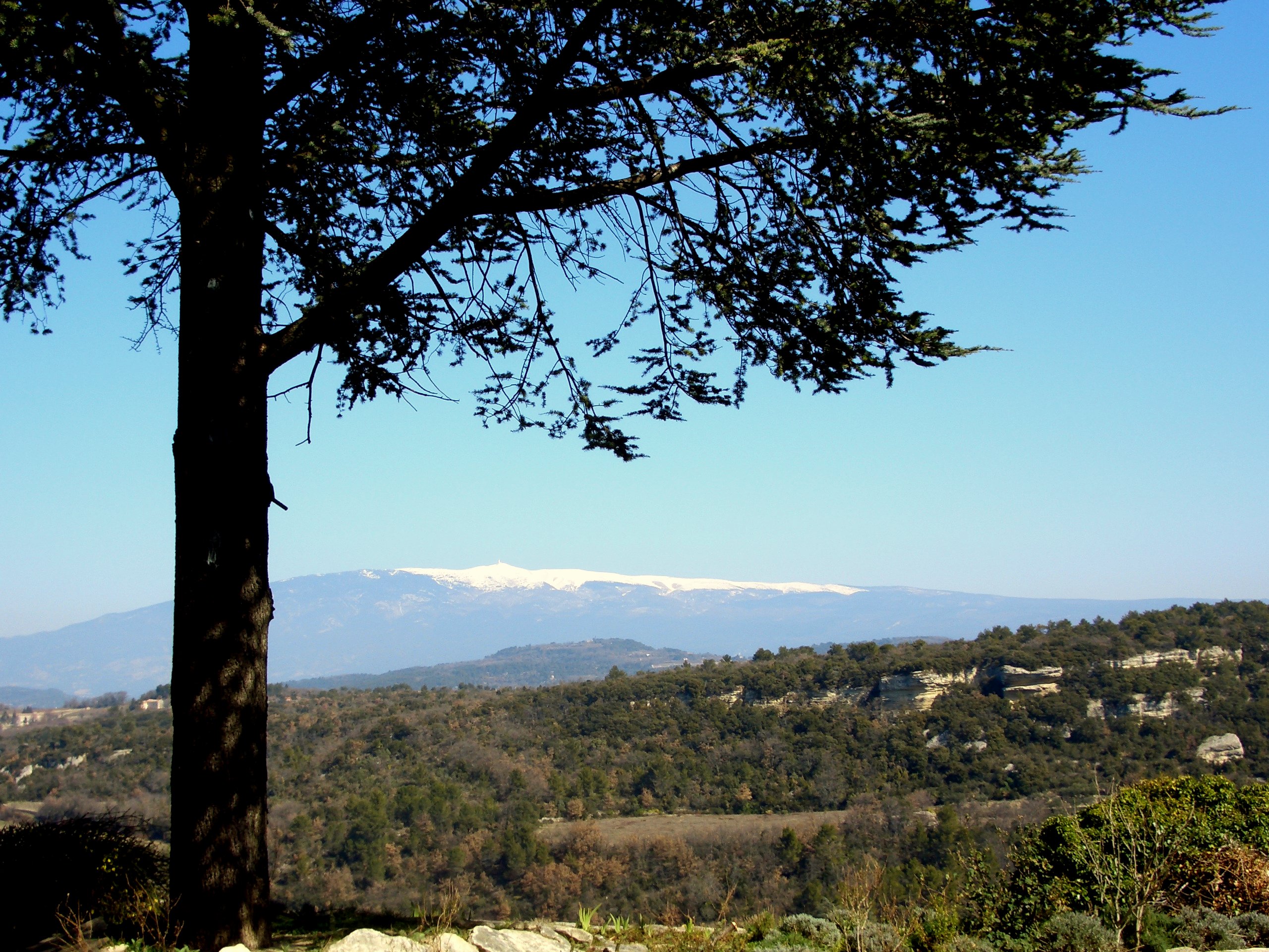 Blick auf den schneebedeckten Mont Ventoux